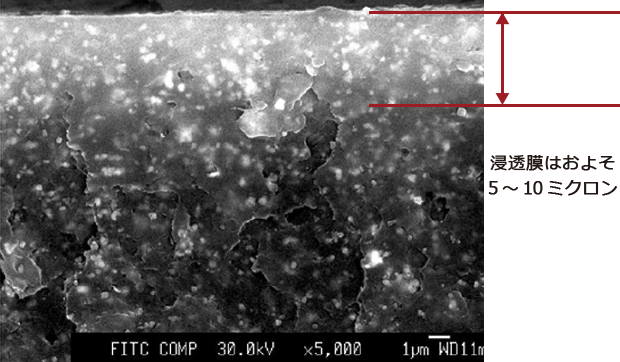 G.Guard、浸透膜はおよそ5~10ミクロン